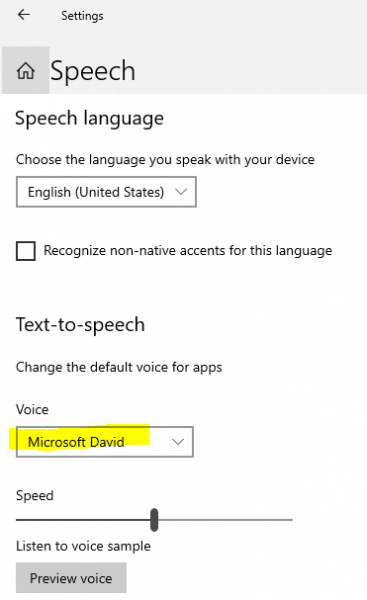 speech settings choose voice